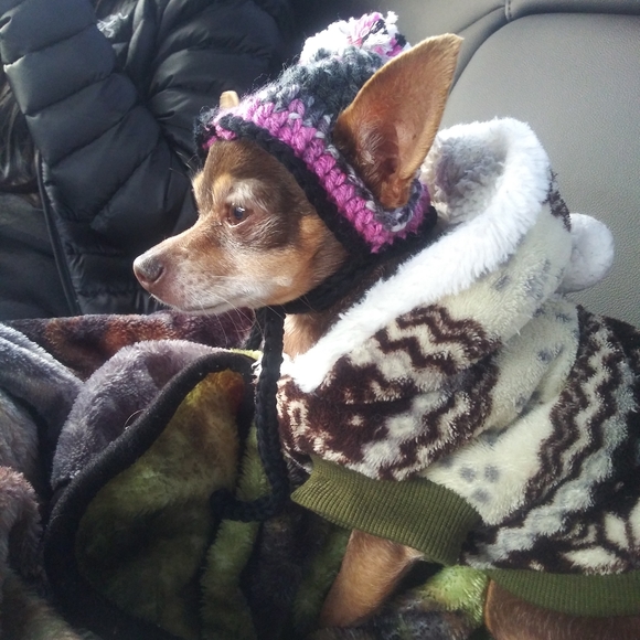 Meet your Posher, Melissa - Picture 1 of 7